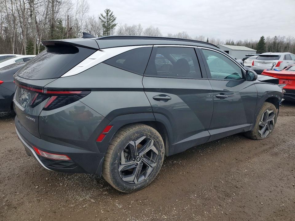 Продажа на аукционе авто 2023 Hyundai Tucson, vin: KM8JCCA15PU114319, номер лота: 48586576