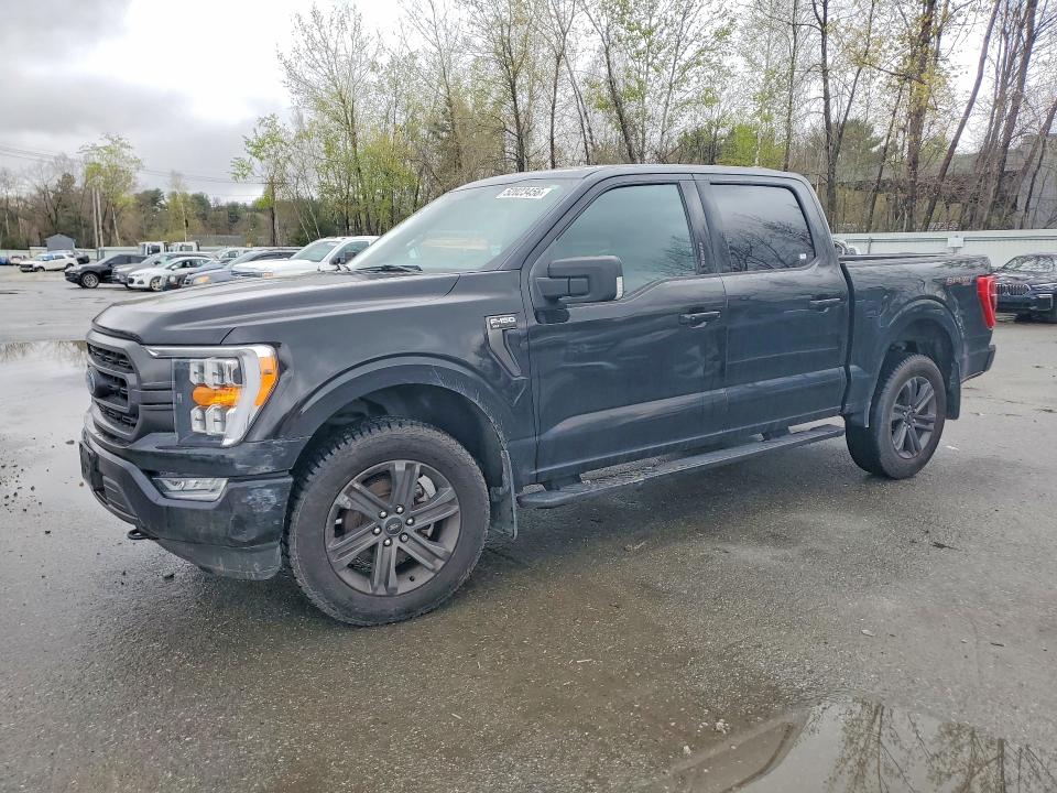 2023 Ford F150 მანქანა იყიდება აუქციონზე, vin: 1FTEW1EP6PFA56497, აუქციონის ნომერი: 52023456