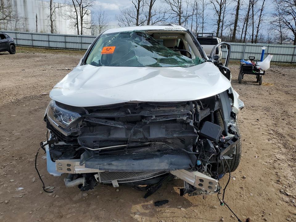 Продажа на аукционе авто 2019 Honda Cr-v, vin: JHLRW2H88KX018271, номер лота: 49491566