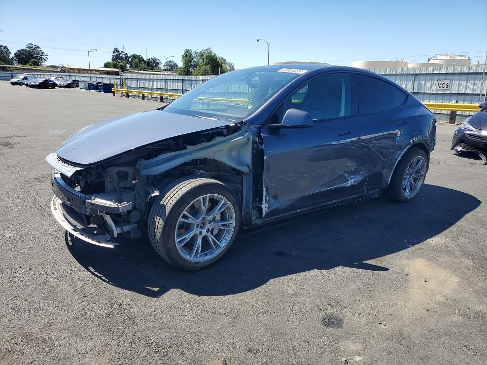 Продаж на аукціоні авто 2023 Tesla Model Y, vin: 7SAYGDEE5PF862736, номер лоту: 48984036