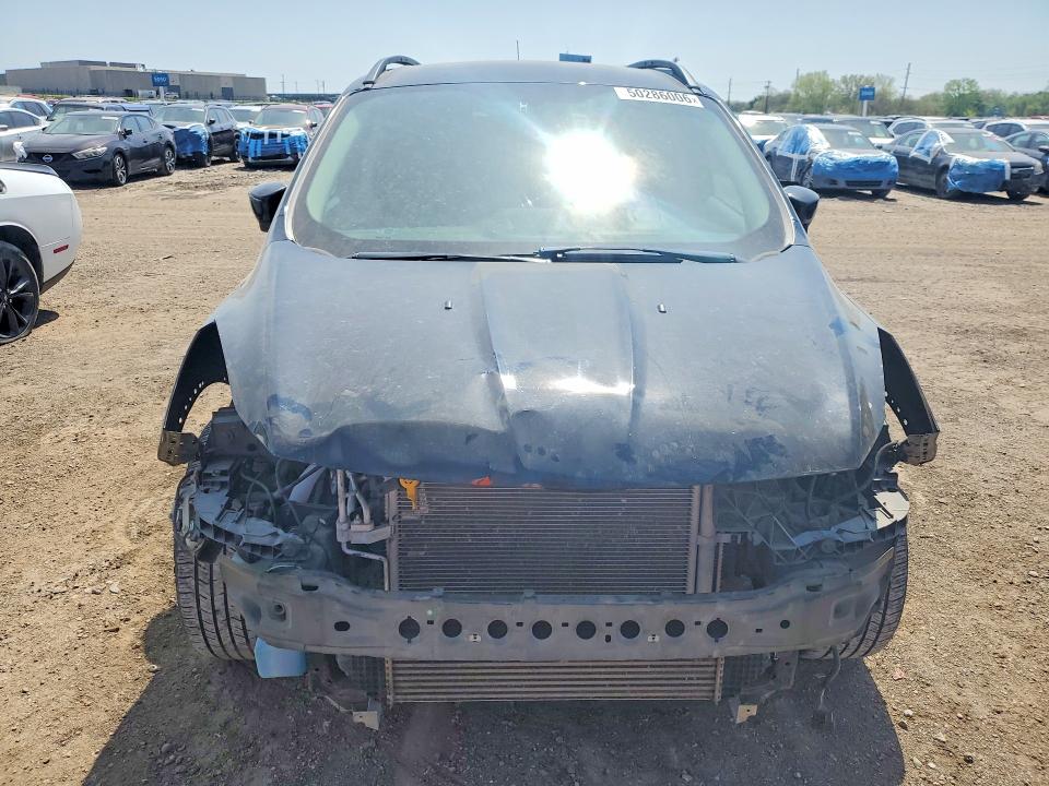 Продажа на аукционе авто 2014 Ford Escape, vin: 1FMCU0GX6EUA52944, номер лота: 50286006