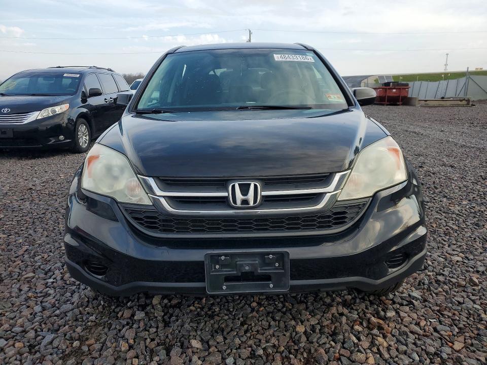 Auction sale of the 2011 Honda Cr-v, vin: 5J6RE4H4XBL084783, lot number: 48433186