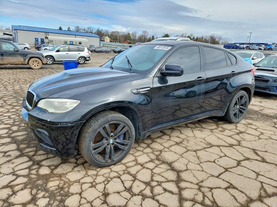 Продаж на аукціоні авто 2013 Bmw X6, vin: 5YMGZ0C59DLL30078, номер лоту: 48312076
