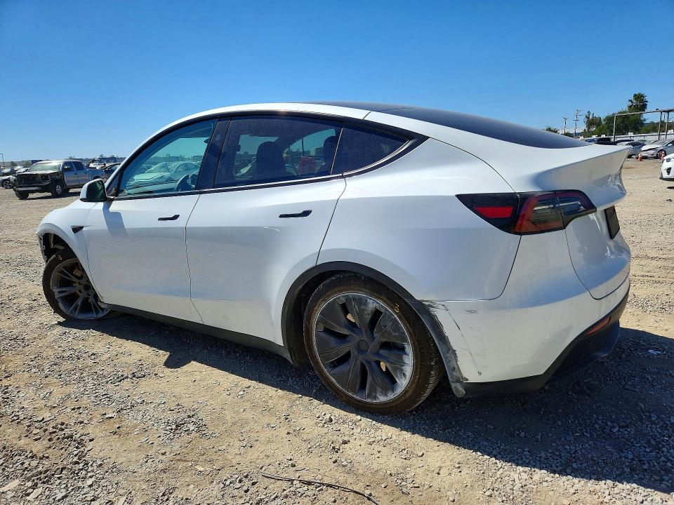 Продажа на аукционе авто 2024 Tesla Model Y, vin: 7SAYGDED0RF118813, номер лота: 49081906