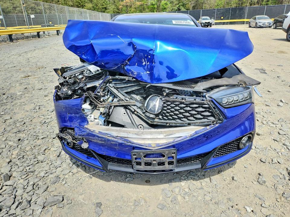 50067666 :رقم المزاد ، 19UUB1F64KA003320 vin ، 2019 Acura Tlx مزاد بيع