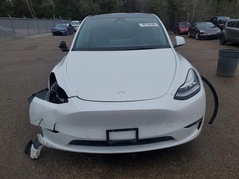 Продаж на аукціоні авто 2022 Tesla Model Y, vin: 7SAYGDEE0NF315483, номер лоту: 48764566
