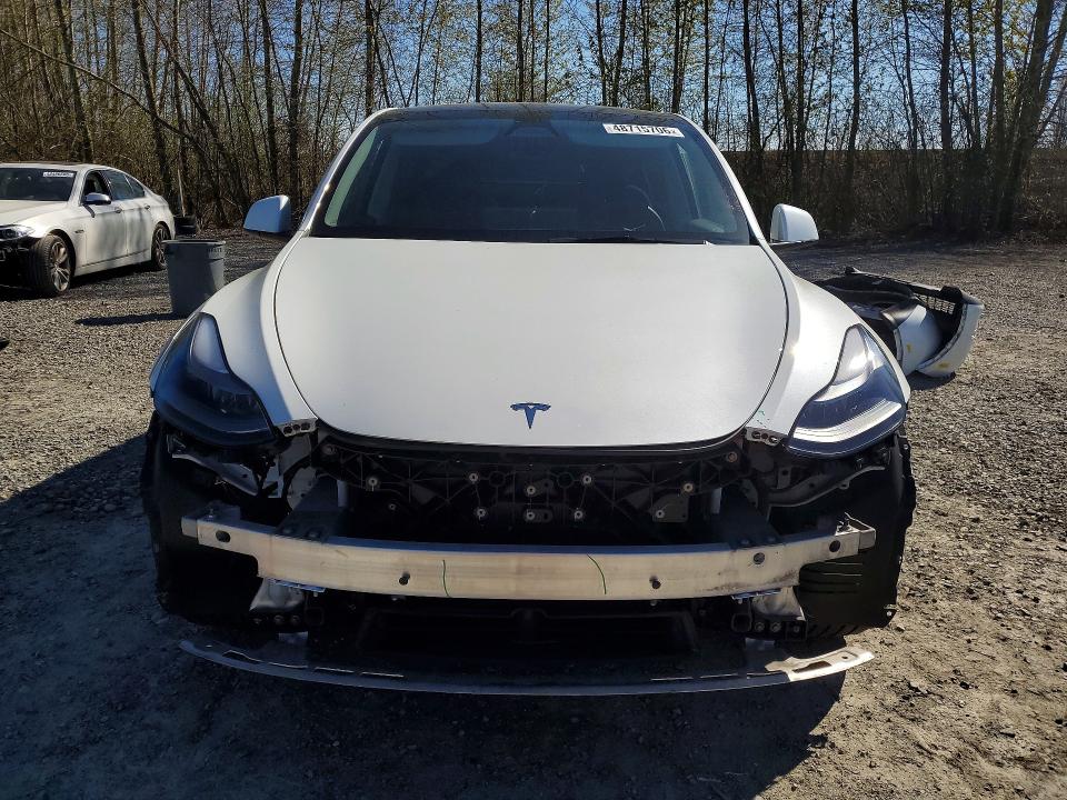 Продажа на аукционе авто 2024 Tesla Model Y, vin: 7SAYGDEE4RF126583, номер лота: 48715706