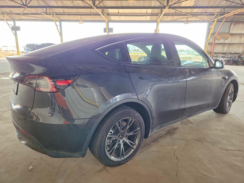 Продажа на аукционе авто 2025 Tesla Model Y, vin: 7SAYGDED6SF228643, номер лота: 50629976