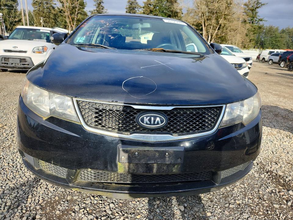 Продажа на аукционе авто 2010 Kia Forte, vin: KNAFU4A2XA5123621, номер лота: 50125686