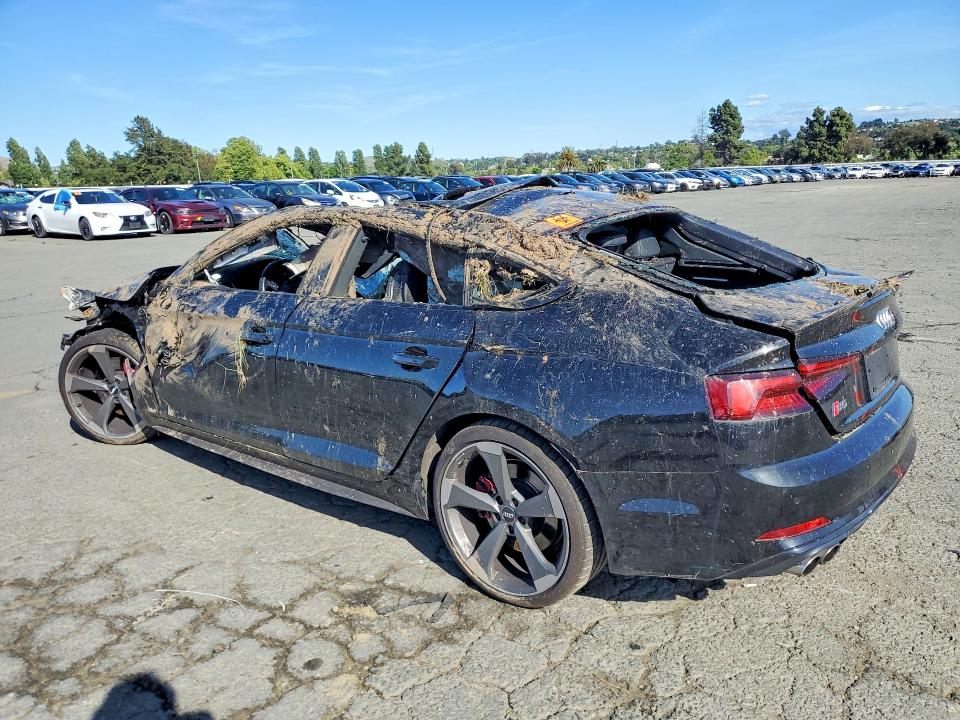 2019 Audi S5 მანქანა იყიდება აუქციონზე, vin: WAUB4CF56KA005084, აუქციონის ნომერი: 51211736
