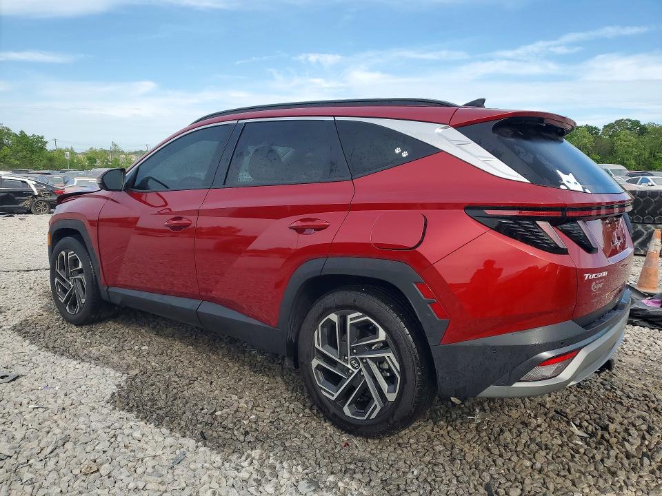 Продажа на аукционе авто 2025 Hyundai Tucson, vin: 5NMJE3DE4SH566923, номер лота: 49330286