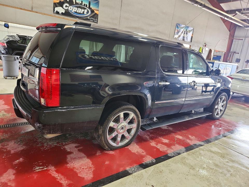 Продаж на аукціоні авто 2010 Cadillac Escalade, vin: 1GYUKJEF0AR262350, номер лоту: 50408476