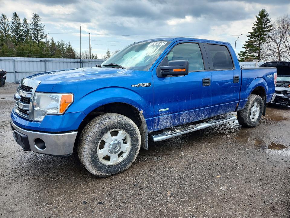 47088836 :رقم المزاد ، 1FTFW1ET7EKG15089 vin ، 2014 Ford F150 مزاد بيع