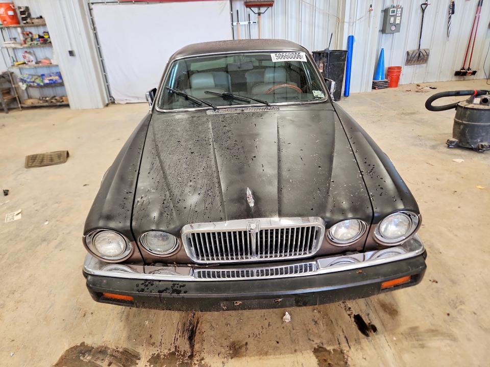 50660006 :رقم المزاد ، SAJAY1343FC397388 vin ، 1985 Jaguar Xj6 مزاد بيع