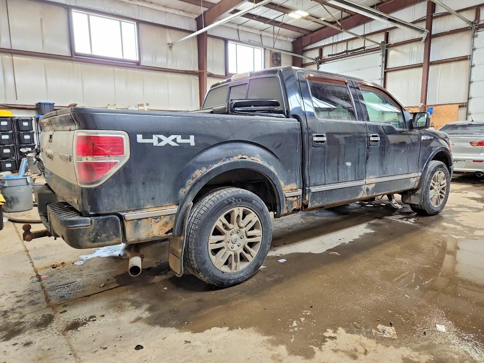 Продажа на аукционе авто 2010 Ford F150, vin: 1FTFW1EV0AFA20038, номер лота: 51180026