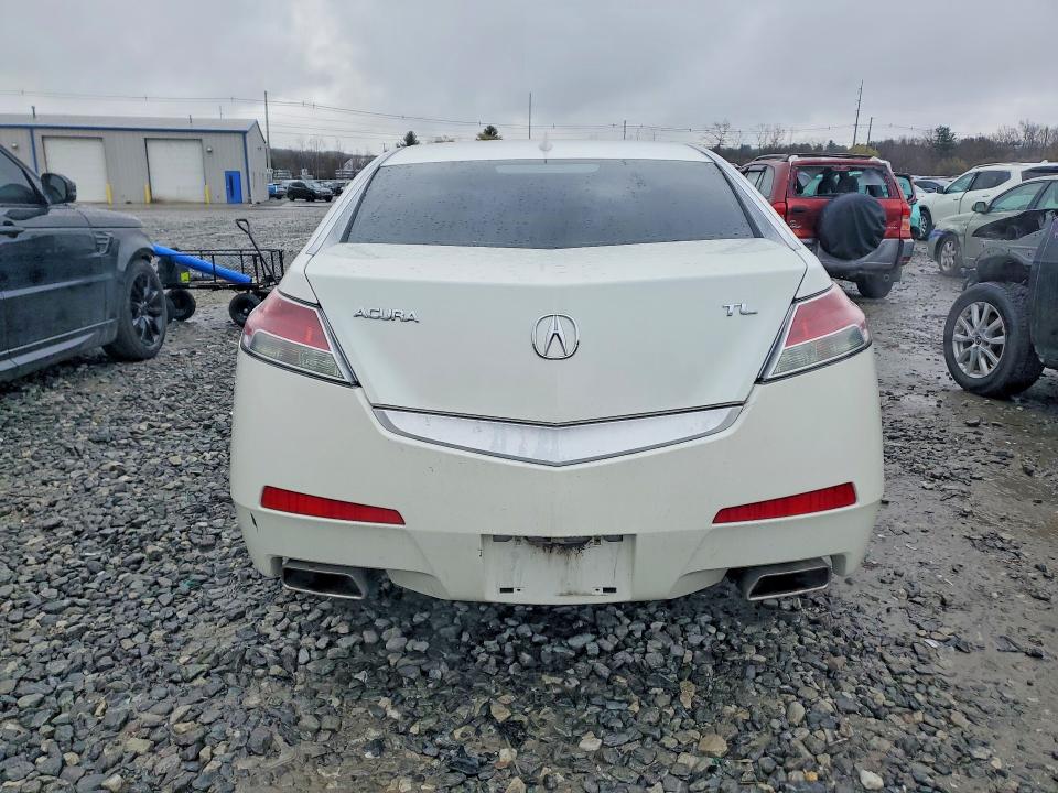 Продаж на аукціоні авто 2010 Acura Tl, vin: 19UUA8F21AA007364, номер лоту: 48464086