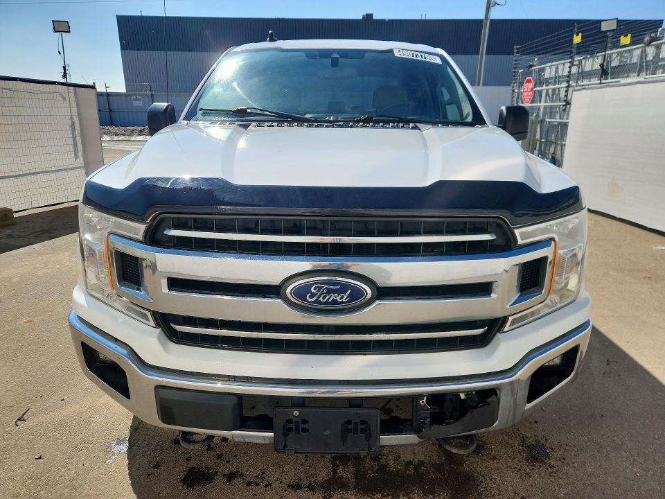 49073796 :رقم المزاد ، 1FTFW1E59KFA24302 vin ، 2019 Ford F150 مزاد بيع