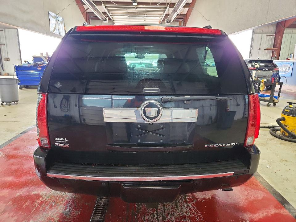 Продаж на аукціоні авто 2010 Cadillac Escalade, vin: 1GYUKJEF0AR262350, номер лоту: 50408476