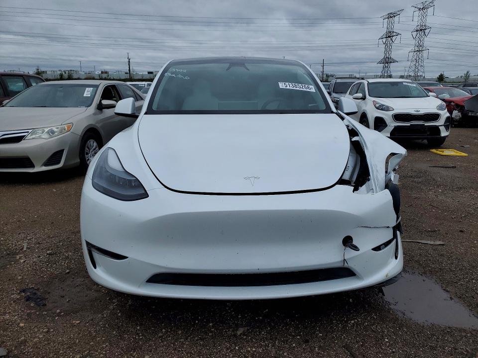 Продаж на аукціоні авто 2024 Tesla Model Y, vin: 7SAYGDEE0RA257734, номер лоту: 51385266