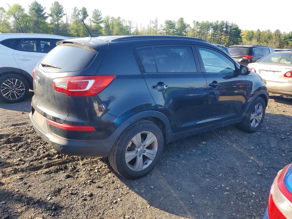 Продаж на аукціоні авто 2011 Kia Sportage, vin: KNDPB3A26B7041902, номер лоту: 50774696