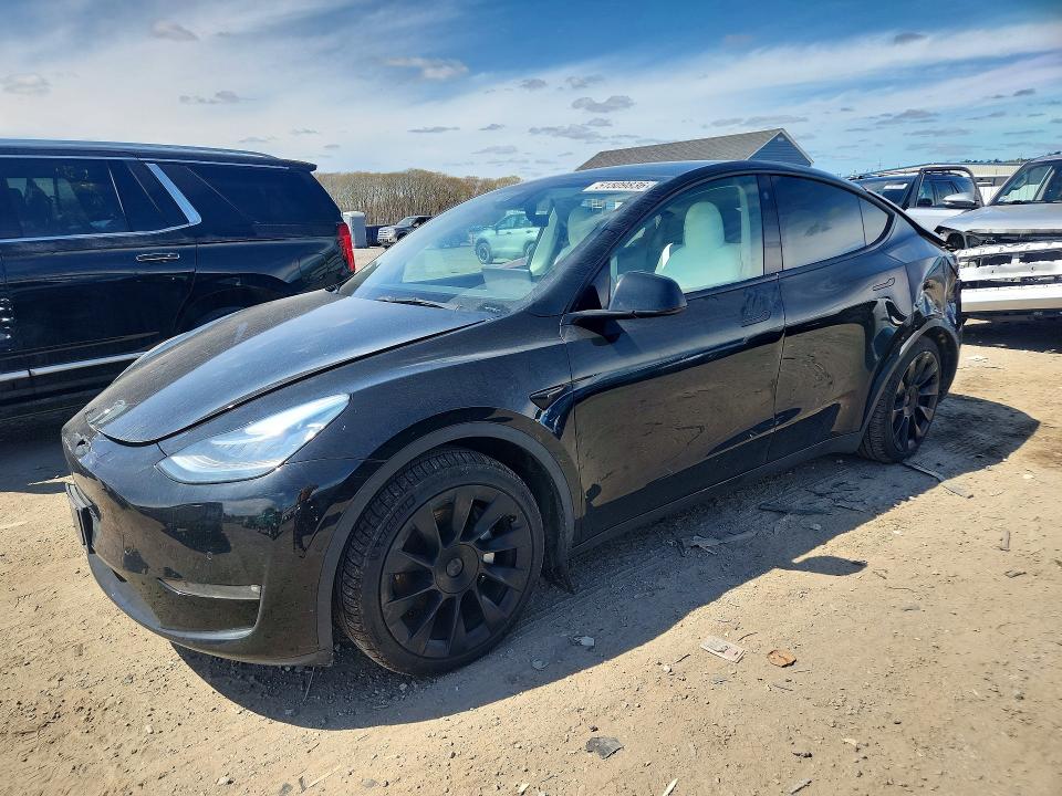 Продаж на аукціоні авто 2021 Tesla Model Y, vin: 5YJYGDEE6MF201449, номер лоту: 51509836