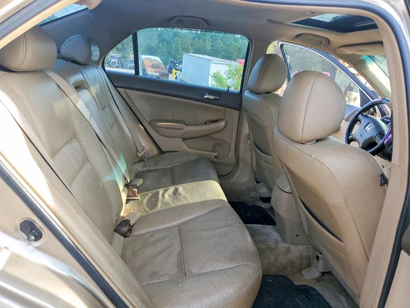 49560156 :رقم المزاد ، 1HGCM56865A123946 vin ، 2005 Honda Accord مزاد بيع