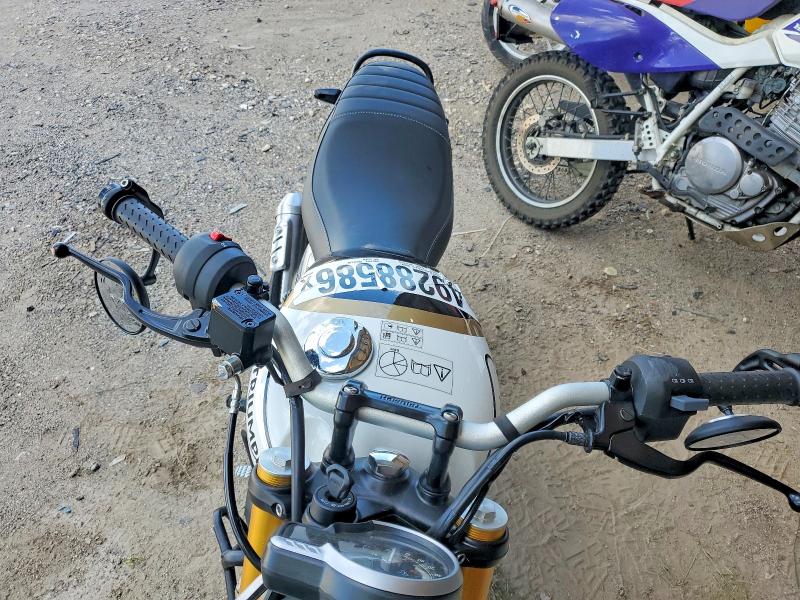 49288586 :رقم المزاد ، SMTT127Y7TNA42940 vin ، 2026 Triumph Motorcycle Speed مزاد بيع