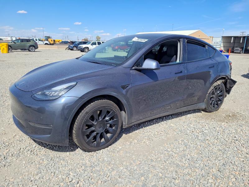 Auction sale of the 2020 Tesla Model Y, vin: 5YJYGDEE4LF017478, lot number: 49825026