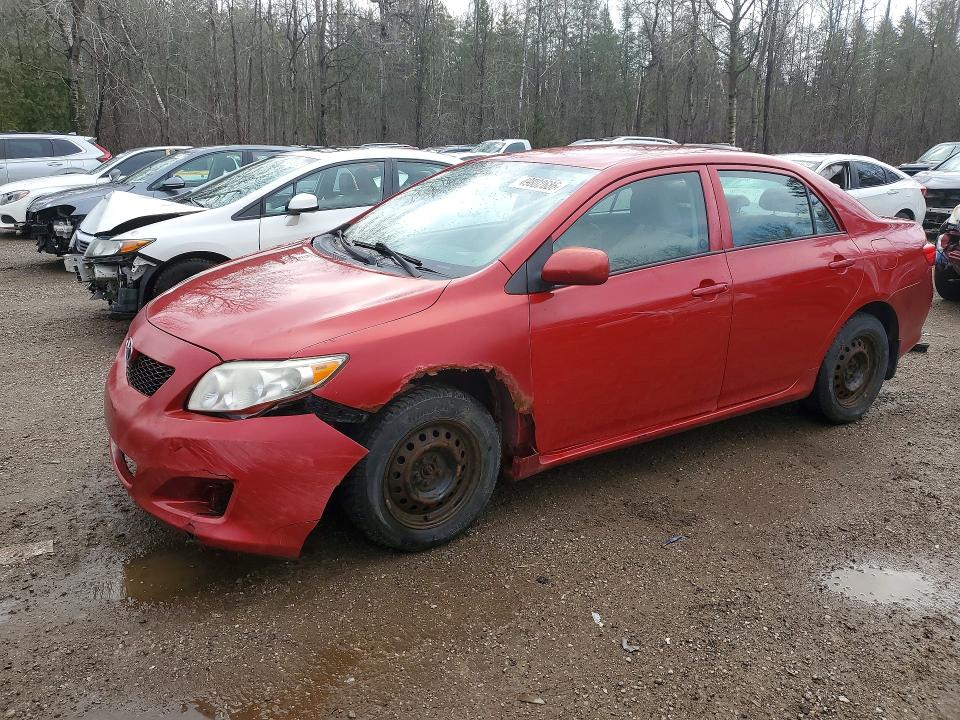 Auction sale of the 2010 Toyota Corolla, vin: 2T1BU4EEXAC218737, lot number: 49802686
