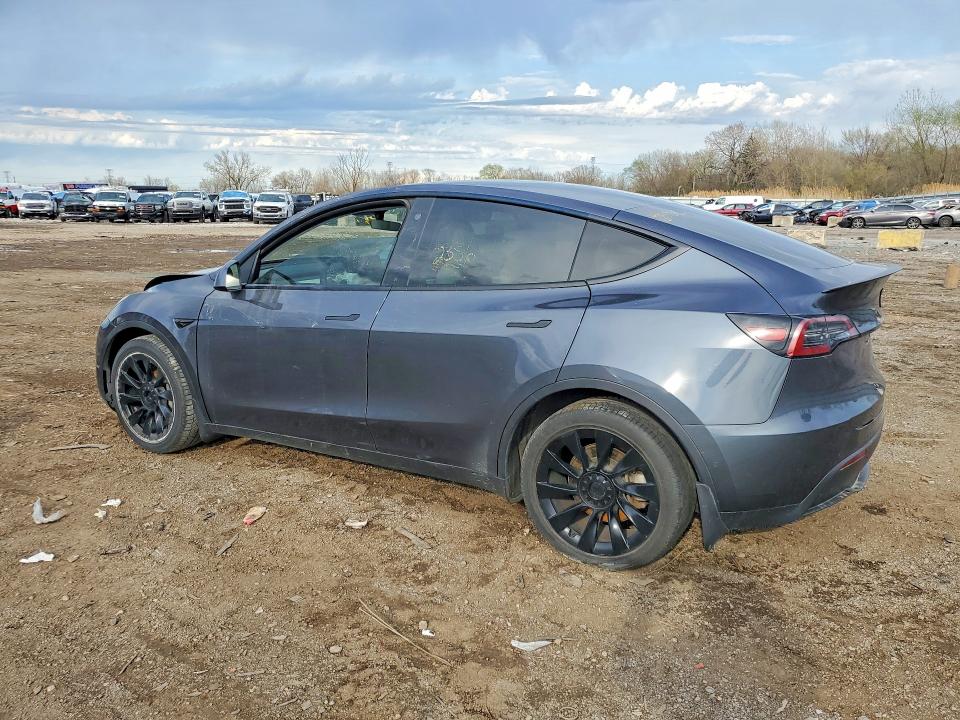 49646256 :رقم المزاد ، 5YJYGDEE3MF244159 vin ، 2021 Tesla Model Y مزاد بيع