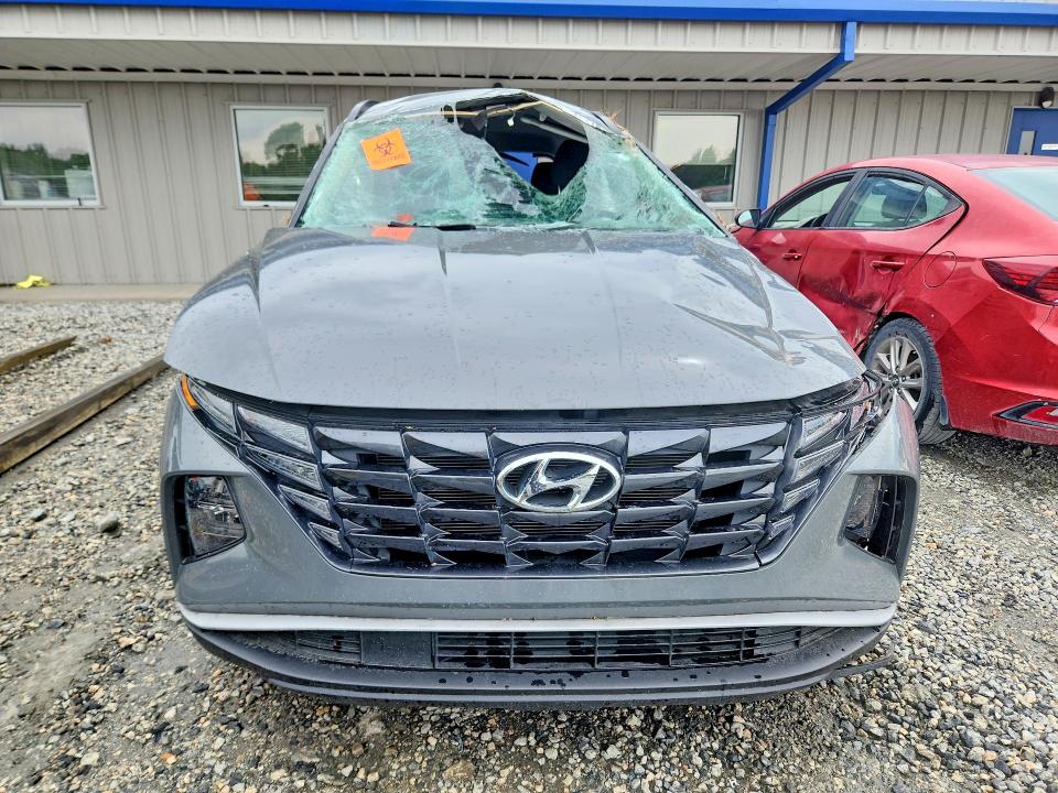 Продаж на аукціоні авто 2024 Hyundai Tucson, vin: 5NMJB3DE5RH424745, номер лоту: 51357116