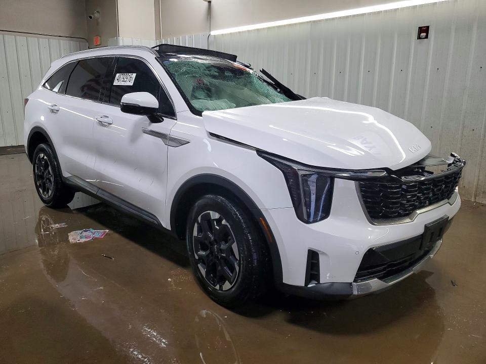 48792916 :رقم المزاد ، 5XYRLDJC4RG286893 vin ، 2024 Kia Sorento مزاد بيع