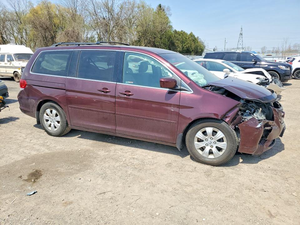 Продажа на аукционе авто 2009 Honda Odyssey, vin: 5FNRL38449B502290, номер лота: 51328866