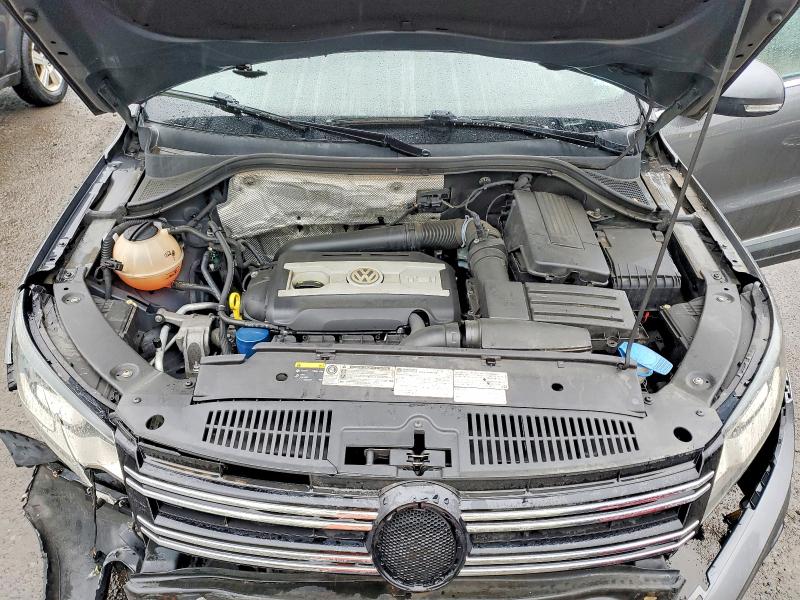 51313506 :رقم المزاد ، WVGBV7AX5GW572585 vin ، 2016 Volkswagen Tiguan مزاد بيع