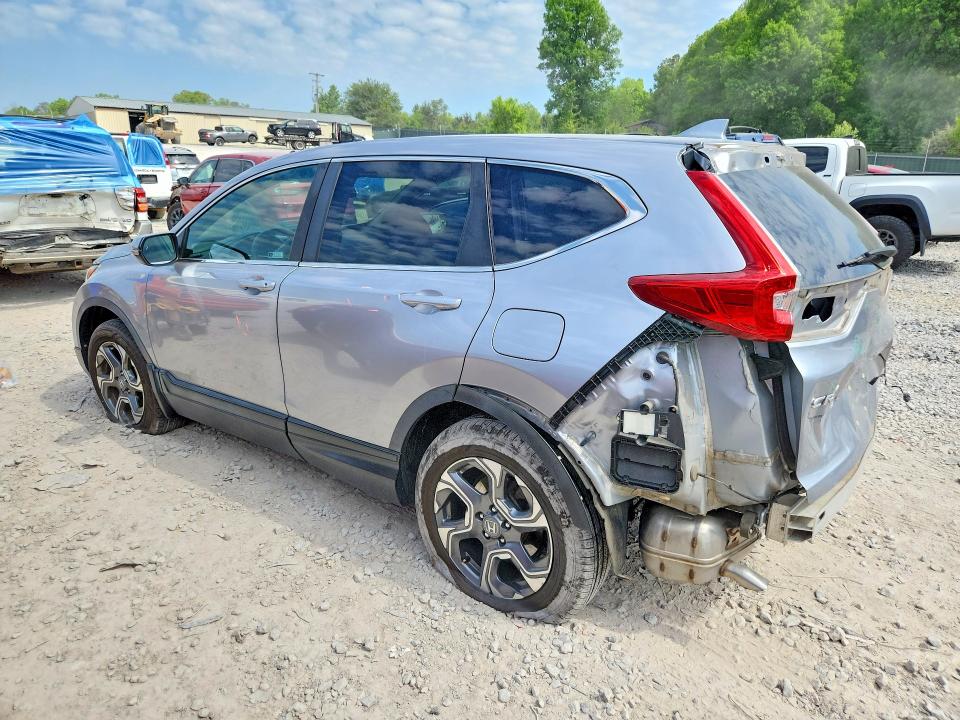 50984766 :رقم المزاد ، JHLRW2H50KX009151 vin ، 2019 Honda Cr-v مزاد بيع
