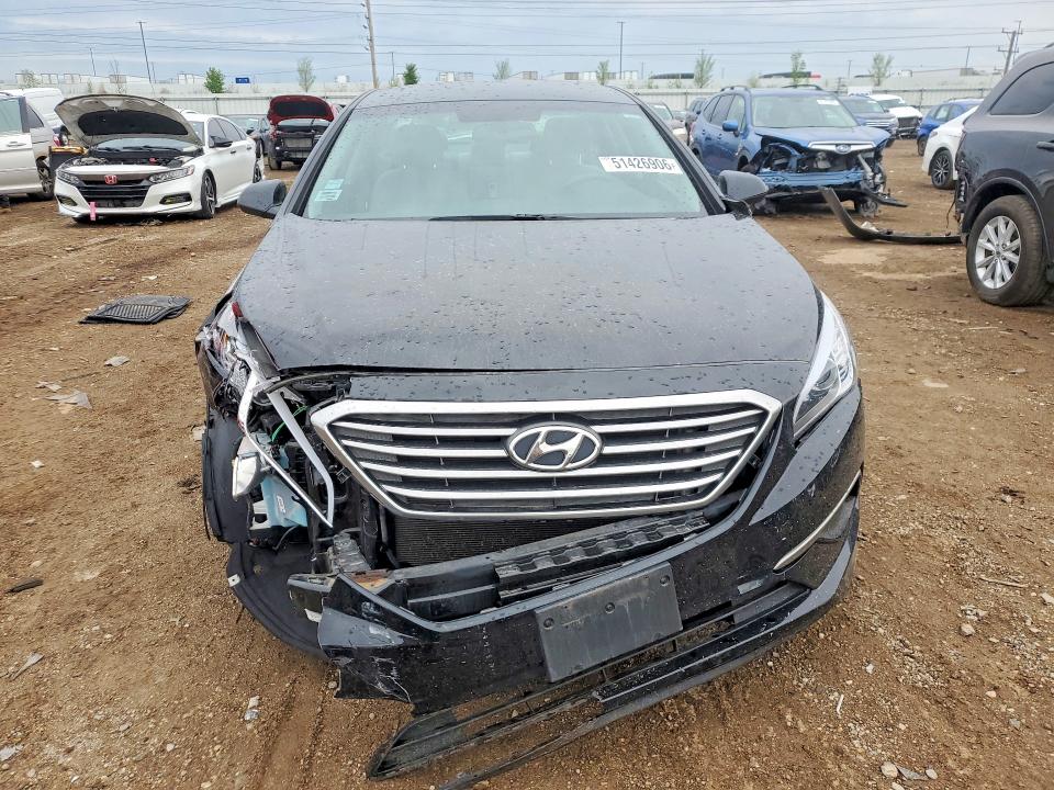 Продаж на аукціоні авто 2016 Hyundai Sonata, vin: 5NPE24AF8GH343159, номер лоту: 51426906
