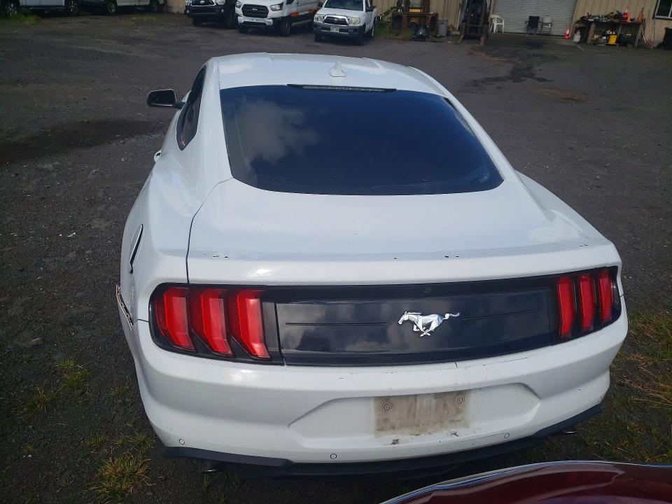 Aukcja sprzedaży 2023 Ford Mustang, vin: 1FA6P8TH8P5107998, numer aukcji: 50359086