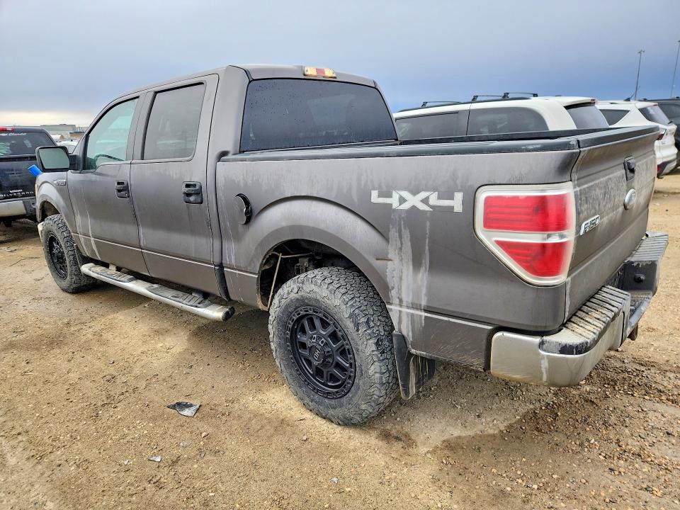 50527496 :رقم المزاد ، 1FTEW1E82AFC41033 vin ، 2010 Ford F150 مزاد بيع