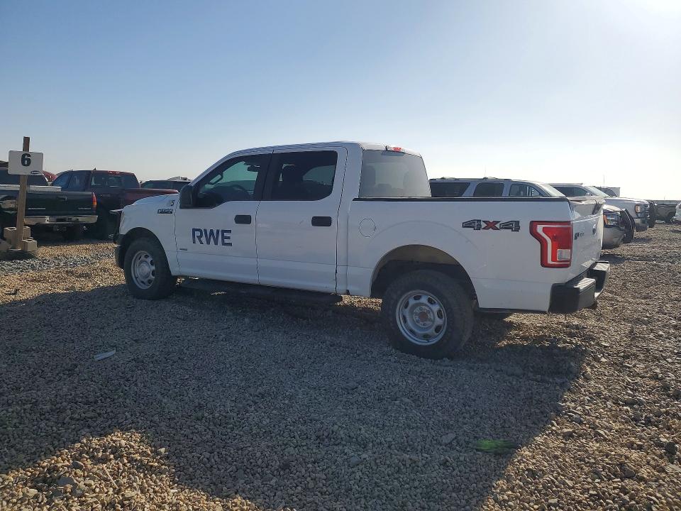 50955096 :رقم المزاد ، 1FTEW1EG0GKD25021 vin ، 2016 Ford F150 مزاد بيع