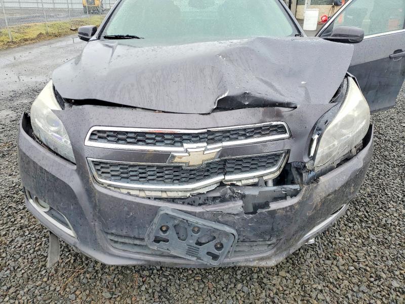 48321686 :رقم المزاد ، 1G11E5SA1DF285215 vin ، 2013 Chevrolet Malibu مزاد بيع