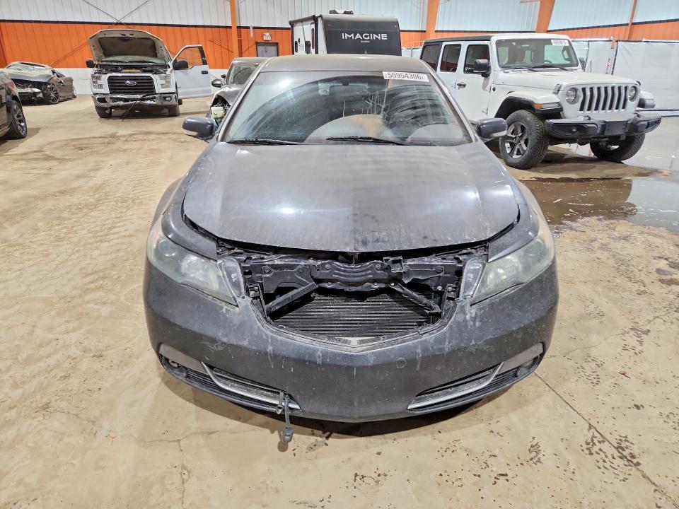 Продажа на аукционе авто 2014 Acura Tl, vin: 19UUA8F24EA800213, номер лота: 50954306