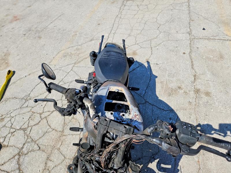 51158966 :رقم المزاد ، 1HD1ZF11XRB309432 vin ، 2024 Harley-davidson Rh975 مزاد بيع