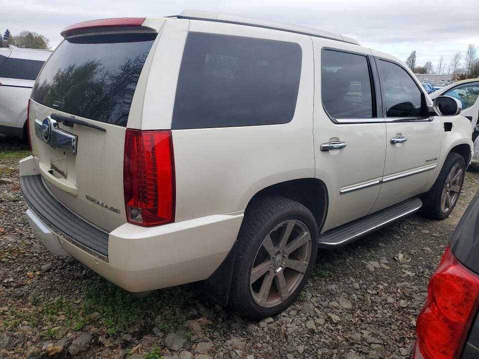 Продаж на аукціоні авто 2010 Cadillac Escalade, vin: 1GYUKBEF2AR241439, номер лоту: 48501326
