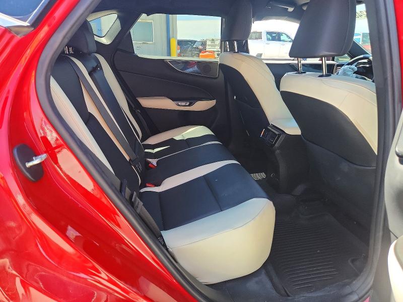 49074246 :رقم المزاد ، 2T2ADCAZ1PC005453 vin ، 2023 Lexus Nx 250 مزاد بيع