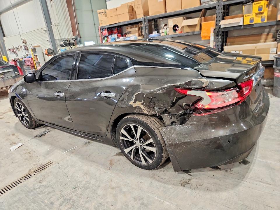 Продаж на аукціоні авто 2016 Nissan Maxima, vin: 1N4AA6AP5GC446739, номер лоту: 48783266