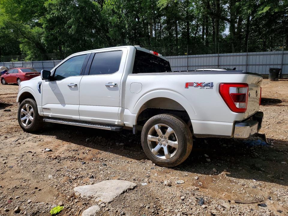 2021 Ford F150 მანქანა იყიდება აუქციონზე, vin: 1FTFW1ED0MFC40954, აუქციონის ნომერი: 51595136