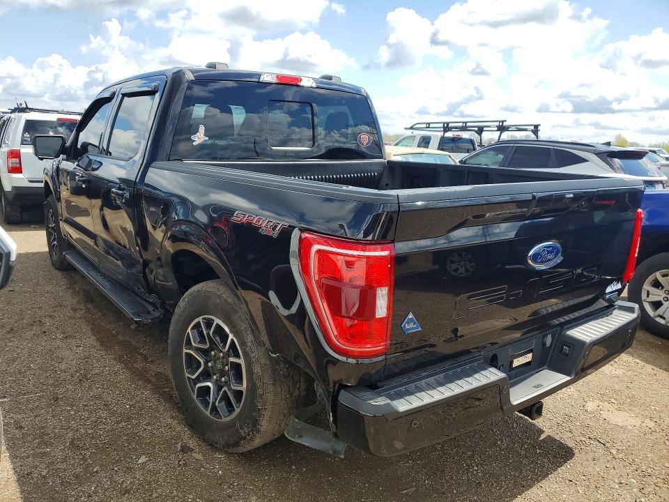2023 Ford F150 მანქანა იყიდება აუქციონზე, vin: 1FTEW1EP3PKF06940, აუქციონის ნომერი: 49894816