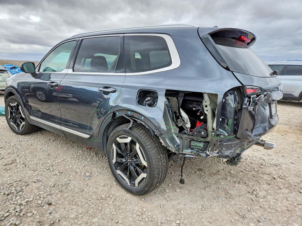 Aukcja sprzedaży 2024 Kia Telluride, vin: 5XYP3DGC9RG442294, numer aukcji: 50793136
