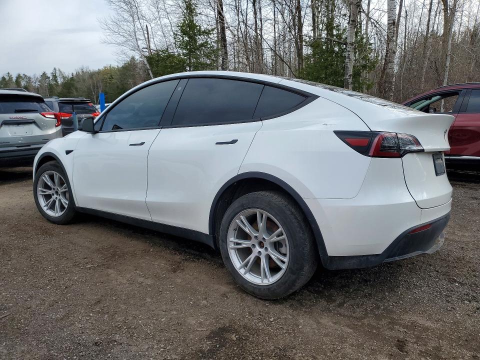 50384086 :رقم المزاد ، 7SAYGDEE6NF428502 vin ، 2022 Tesla Model Y مزاد بيع