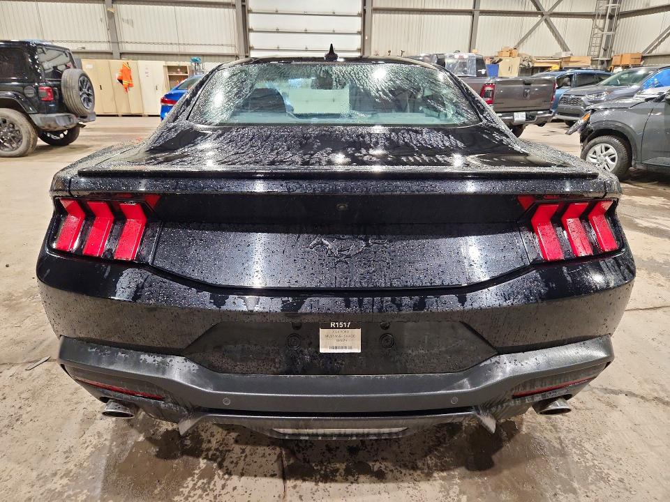 Продажа на аукционе авто 2024 Ford Mustang, vin: 1FA6P8TH5R5104074, номер лота: 49307686